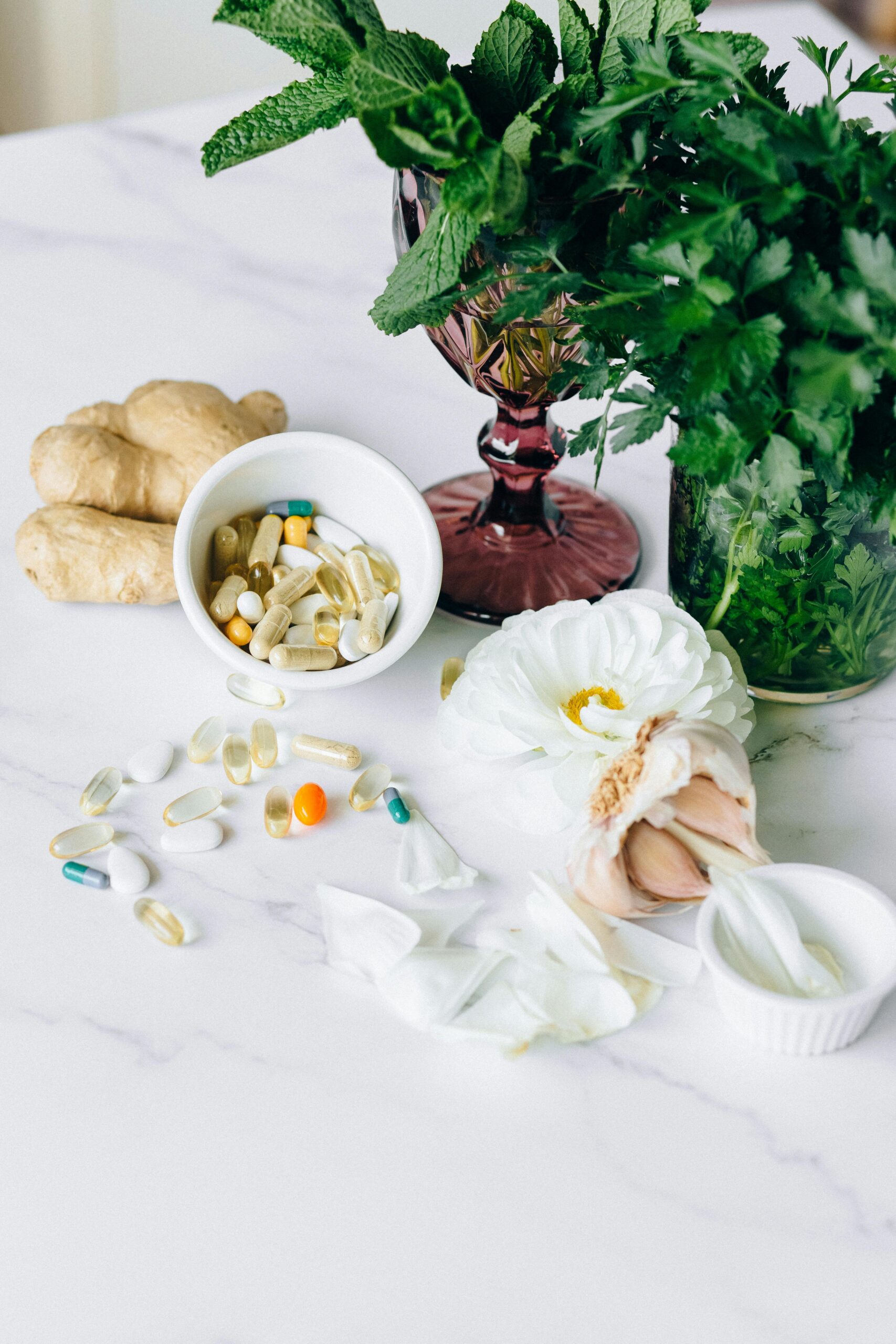 Still life of herbal plants and supplements on marble surface, showcasing natural healthcare.